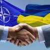 Украина может получить новый статус в НАТО - Загороднюк