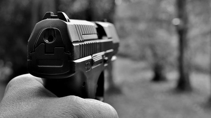 Пистолет/ Фото: Pixabay