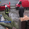 Знесені дахи та поламані мости: Миколаївщиною пронісся нищівний циклон