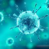 В Северной Ирландии подтвердили первый случай коронавируса