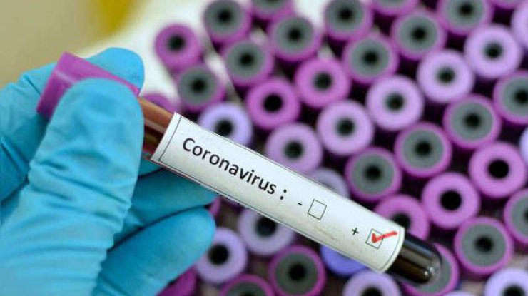 Тест на коронавирус/ Фото: maharashtratimes.indiatimes.com