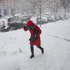 Метель и снег до 40 см: украинцев предупредили об ухудшении погоды