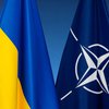 Интеграция в НАТО: Кабмин принял новую программу 