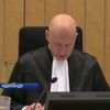Катастрофа МН17: у Гаазі розпочалися судові слухання