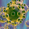 Число жертв от коронавируса в Италии превысило тысячу 