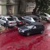 В Буэнос-Айресе по улице лились тонны крови