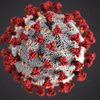 Пандемия коронавируса: сколько умерло людей (инфографика)