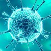 В ВОЗ назвали условия преодоления пандемии коронавируса