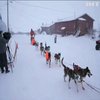 На Алясці завершилися легендарні перегони на собачих упряжках