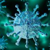 В Харькове подтвердили 22 подозрения на коронавирус 