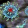Эпидемия коронавируса: еще одна страна подтвердила первый случай заражения 