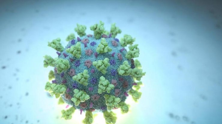 Компьютерное изображение вируса COVID-19/REUTERS