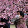 В Токио отмечен резкий скачок коронавирусной инфекции