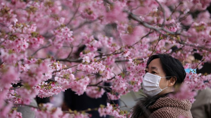 Сезон цветения сакуры в Токио, Япония, март 2020 года/REUTERS