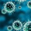 В Тернопольской области подтвердились еще два случая коронавируса