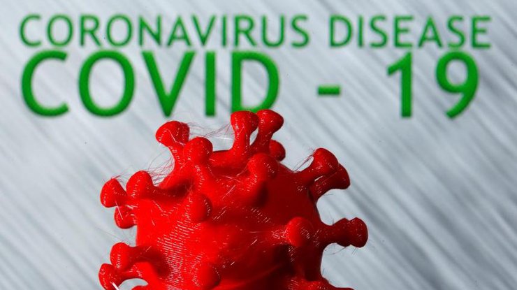 Созданная на 3D-принтере модель коронавируса COVID-19/Фото: REUTERS