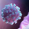 В парламенте Ирана обнаружили коронавирус