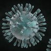 Тройная угроза: обнаружен новый штамм коронавируса 