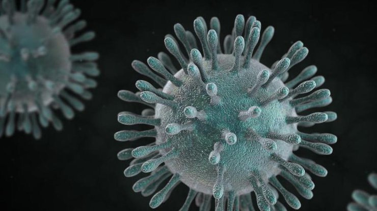 Фото: штамм коронавируса/ Naked Science