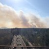 Пожар в Чернобыле: Украина не дает разрешение на помощь Беларуси 