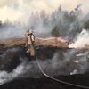 Пожары в Чернобыльской зоне помогает гасить дождь