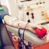 В больницах возник дефицит донорской крови