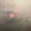  В Житомирской области горят леса: к тушению привлекли авиацию (видео)