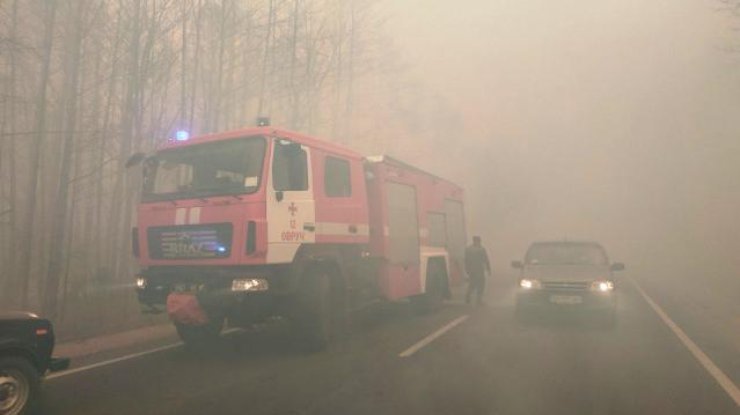 В Житомирской области горят леса/ Фото: zt.dsns.gov.ua