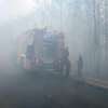 В Житомирской и Киевской областях не утихают лесные пожары (видео)