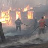 "Катастрофа, о которой врут": блогерша опубликовала шокирующее видео о пожарах в Житомирской области