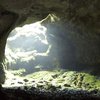 Укрытие от коронавируса: в Индии туристы прятались от болезни в пещере