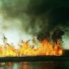 Последствия пожара в Чернобыле: опубликованы жуткие кадры 