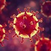 Как звучит коронавирус: ученые перевели структуру вируса в мелодию
