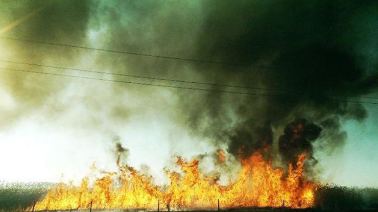 Пожар / Фото: kyivobl.dsns.gov.ua
