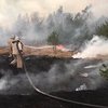 Кабмин разработал план ликвидации пожаров в Житомирской области