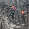 У Чорнобильській зоні не вщухають лісові пожежі