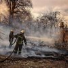 Пожары в Житомирской области: названа вероятная причина