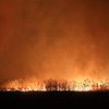 В Польше масштабный пожар "съедает" национальный парк