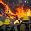 В Киевской области ликвидировали лесной пожар