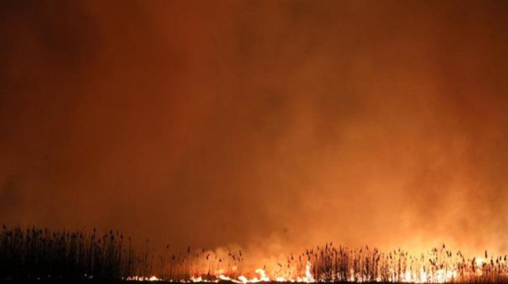 Фото: пожар в Польше/ RMF 24