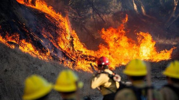 Пожар / Фото: EPA