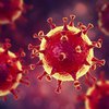 Сколько времени коронавирус может жить в организме человека
