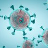 Борьба с коронавирусом: в ВОЗ назвали стратегию