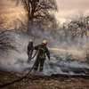 Под Житомиром спасатели локализировали лесной пожар 