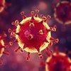 Новая реальность: что уничтожает коронавирус за 30 секунд