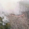 У Чорнобильській зоні продовжують гасити лісову пожежу