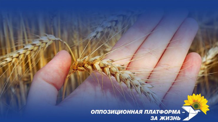Фото: zagittya.com.ua