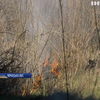Черкащина у вогні: палії знищили 40 гектарів очерету та зелених насаджень