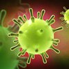 Коронавирус под угрозой: создан вирус-убийца опасной инфекции