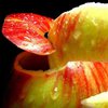 Чем полезна яблочная кожура